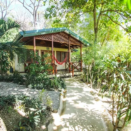 Oasis Mal Pais