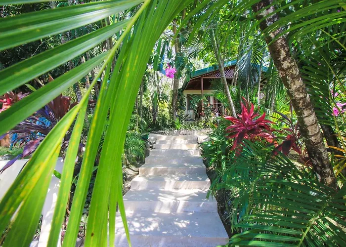 Oasis Mal Pais