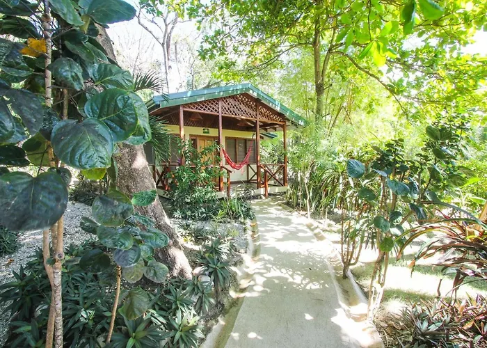 Hotel Oasis Mal Pais