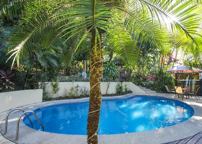Oasis Mal Pais