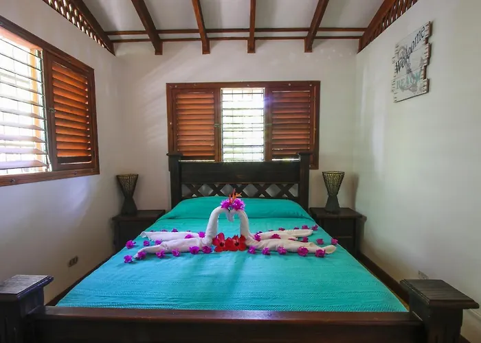 Oasis Mal Pais Nicoya