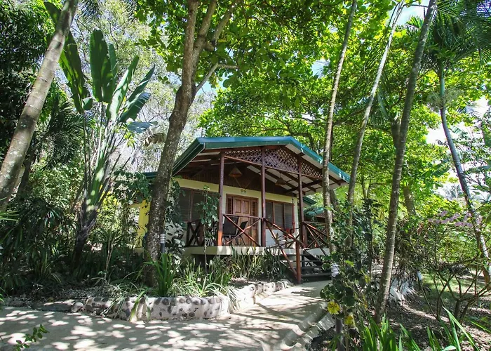 Hotel Oasis Mal Pais