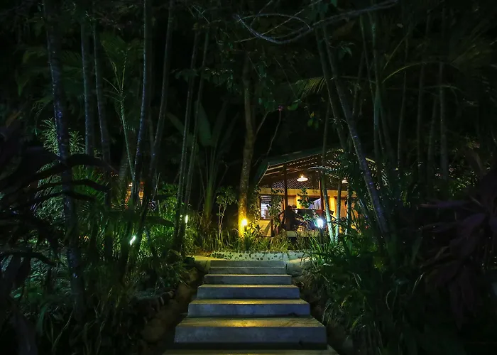 Oasis Mal Pais