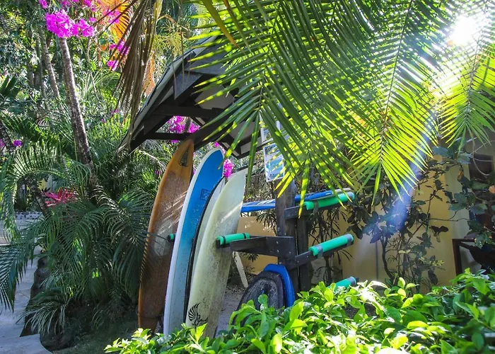 Oasis Mal Pais Nicoya