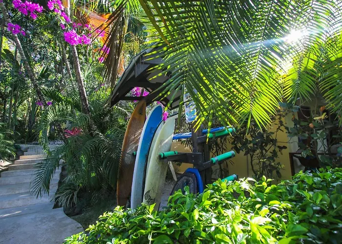 Oasis Mal Pais